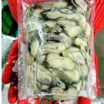 통영 최상급 생굴 (중대사이즈) 1kg, 5Kg