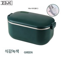 Z3JC 304 스테인리스 가열 플러그 가능 물 주입 프리 두꺼운 휴대용 전열 보온 보온 도시락입니다, 식감녹색(미규어플러그), 1.0L