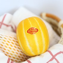 정품 성주 참외 게르마늄 참외 특 로얄과 3kg
