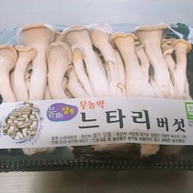 우주농원 국내산 느타리, 1팩, 200g