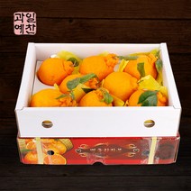 [제주향기] 탐나는 한라봉 3kg(7-9과내), 단품