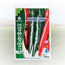 농사친구 2022 티탄스피드 1200립 + 뉴그린씨 500ml 세트 씨 종자 탄저 칼라 병 불칼라 티탄 ATR, 티탄스피드 1200립 + 뉴 그린씨 500ml