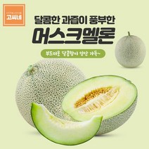 특급 고씨네 5kg 멜론 과일 머스크 농장 칸탈로프 가격 양구 곡성 고창, 특급멜론 5kg, 브라운베어 본상품선택