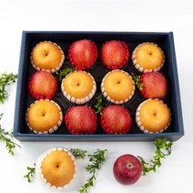 [익산원예농협] 프리미엄 사과/배 명절 혼합세트 6kg내외(사과6과/배6과), 사과배 혼합선물세트 6kg(특품 사과6과+배6과)