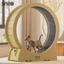 고양이회전스크래처 혼자놀기 캣토이 하우스 운동, S 사이즈 - 친환경 가구판 (6파운드 이내