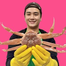 [5+1}[3+1][당일조업][구룡포직송]수율보장 명품 박달 대게 4마리 포항 구룡포 영덕 울진, 박달급 대게 수율85%이상 3미+1미 총4미