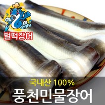통영 꼼장어1kg 국산꼼장어 생물손질발송, 1개