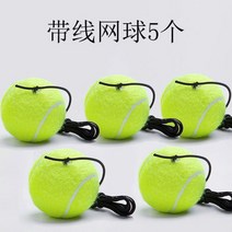 간편한 테니스 연습기 볼머신 스크린 리턴볼 디스펜서 셀프 트레이닝 휴대용, 줄달린공5개