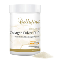 셀루파인프리 콜라겐 파우더 베리솔 펩타이드 300g