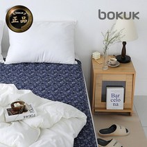 보국 전기요 온열매트 에어셀 워셔블 스타스퀘어 전기장판, 싱글