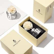[젠틀티안] 차량용방향제 100ml 디퓨져 + 고급포장 패키지 F. 러블리다우니, 단품