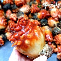 식탐대첩 국내산 싱싱한 제철 활 멍게 1kg, 단품