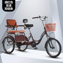 성인자전거 세발 어른 삼륜 3발 Wyj 페달 자전거 인간 더블 가변, 11.3