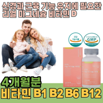식약처 인증 온가족 리얼 마그네슘 마그네숨 비타민 D 디 B1 B2 B6 B12 4개월분 1일 영양 성분 기준치 100% 함유 신경과 근육 기능 유지에 필요 대용량 파는곳 추천, 1