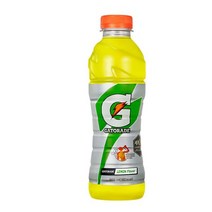 칠성 갈증해소 아미노산 게토레이 레몬 페트 스포츠음료 이온음료 600ML 20개, 28세트