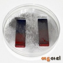 에듀아띠 철가루 자기장실험 5인용 물리학 에너지실험세트