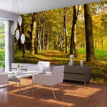 프렌체 맞춤제작 30가지 풍경디자인 UV프린팅 포인트벽지, 디자인26