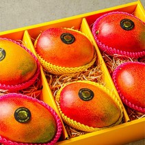 [깊은향기] 국내산 킹 애플망고 선물세트 (6입/3kg) 답례품 추석선물세트