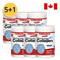 6팩(5+1)특가세트 뉴트리돔 콜라겐 분말 파우더 대용량 303g (캐나다 정식수입 국내배송)