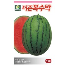다농 더존복수박씨앗 10립, 단품