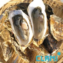 [클래미] 자연산 석화 1kg, 1팩