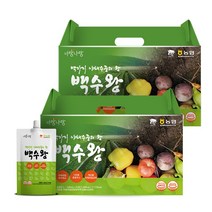 미쁨생활건강 하루야채 100가지 야채수 야채스프 백수왕 100ml, 50포