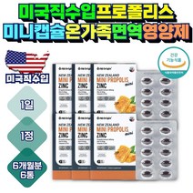 미국 직수입 온가족 미니캡슐 프로폴리스 면역력 영양제 12개월분 식약처인증 1일권장섭취량 100% 플라보노이드 17mg 구강항균 이산화규소없는 보조제 항산화 캡슐 먹는 엘 아르기닌