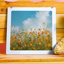 [바보사랑] 행잉액자_황화코스모스(사각중형), 타입:타입2