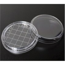미생물 배양 격자눈금 샬레 페트리 접시 10개 영재과학 만들기 완구