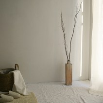 모콘 키큰 곱슬버들 버드나무 천연 나뭇가지 1m20cm