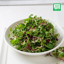 성민농산 무농약 베이비채소 500g 어린잎채소 샐러드채소