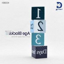 셀프촬영용 남아성장일기 D데이 숫자블럭 유아교구 집콕놀이 센터교구