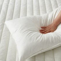 구스 호텔 베개솜+호텔 베개커버 1SET, 구스베개솜 F(50x70)+베개커버 1장