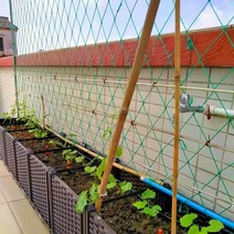 농사용 그물망 오이 고추 포도 과수원 다래 사과 배, 폭 6m 길이 20m (조임끈 포함)