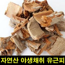 ★쭈니파파몰★ 고씨네 유근피 자연산500g 자연산유근피 환 느릅나무
