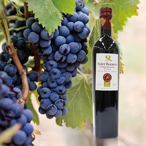 오가닉스토리 솔레르로메로 유기농 발사믹식초 500ml, 1개, Free