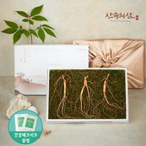 [산속의삼] 인증받은 100% 국내산 정품 6~10년근 산양삼 산삼 산양산삼 장뇌삼 장뇌산삼 / 산지 직배송 (보자기포장), 10년근 프리미엄 3뿌리 (1상자)