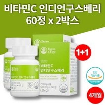 무부형제 항산화 인디안 인디언 구스베리 비타민c 알약 정 600mg, 2박스