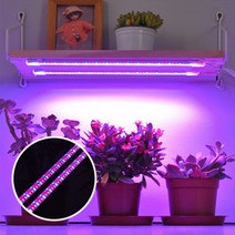 식물 LED 스틱등 실내재배 생장등 조명 + 아답터 재배용조명 다육이 화분 원예 채소 식물, 다육이 조명램프+아답터 기본 2스틱