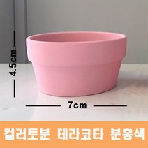 컬러 토분(분홍색) 화분 미니토분 다육이 테라코타[지름7cmX높이4.5cm] 수입도매