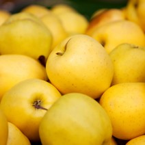 딜리버리맛트 [딜맛] 시나노골드 황금사과 정품(망포장) 중대과 4.5kg(11~14과), 1