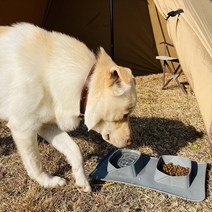 강아지 고양이 휴대용 밥그릇 식기 접이식 캠핑 2구 반려동물, 그린