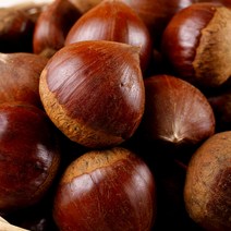 농가살리기 가을 햇 부여 밤 중 대 특 2kg 5kg, 가을 햇 부여밤 대 2kg, 1개