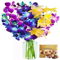 KaBloom Exotic Rainbow Orchid Bouquet of 5 Blue Dendrobium Orchids 3 Purple Dendrobium Orchids and, 1
