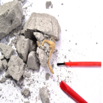 쥬라기 공룡 화석 발굴 키트 피규어 장난감