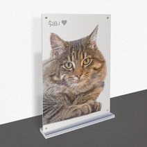 모노치 반려동물 초상화 강아지 고양이 펫아트 그림 탁상액자 무지개다리 생일파티 선물, A6 (100x148mm), 04. 일자형 자석