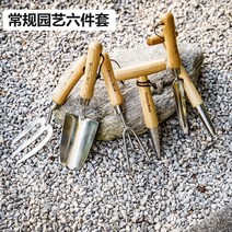 구근파종기 구멍삽 모종천공기 한손모종이식기 깨파종기 영국 berrybird 야외 스테인레스 스틸 원예 도구 모종 냄비 화분에 심은 꽃 파기 토양 묘목 이식기, 레귤러 원예 6종 세트