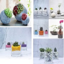 천연 인테리어 자갈 백자갈 흑자갈 옥자갈 칼라스톤 색모래 삼색자갈 오색자갈 화산석, 오색자갈0호(1.5kg)