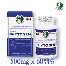 파이토젠 여성호르몬 대두 이소플라본 파이토케미컬 식물성 에스트로겐 여자 영양제 추천 500mgx60캡슐