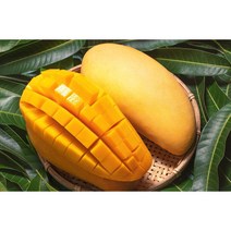 프리미엄 특품 태국 골드 망고, 2kg(4-8과), 1개